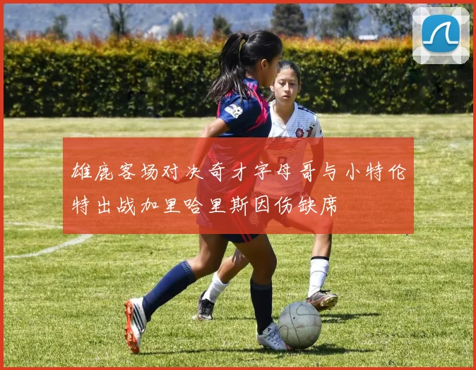 雄鹿客场对决奇才字母哥与小特伦特出战加里哈里斯因伤缺席