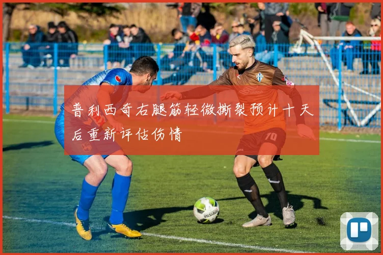 普利西奇右腿筋轻微撕裂预计十天后重新评估伤情