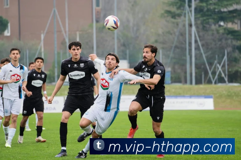 华体会体育APP 封面图